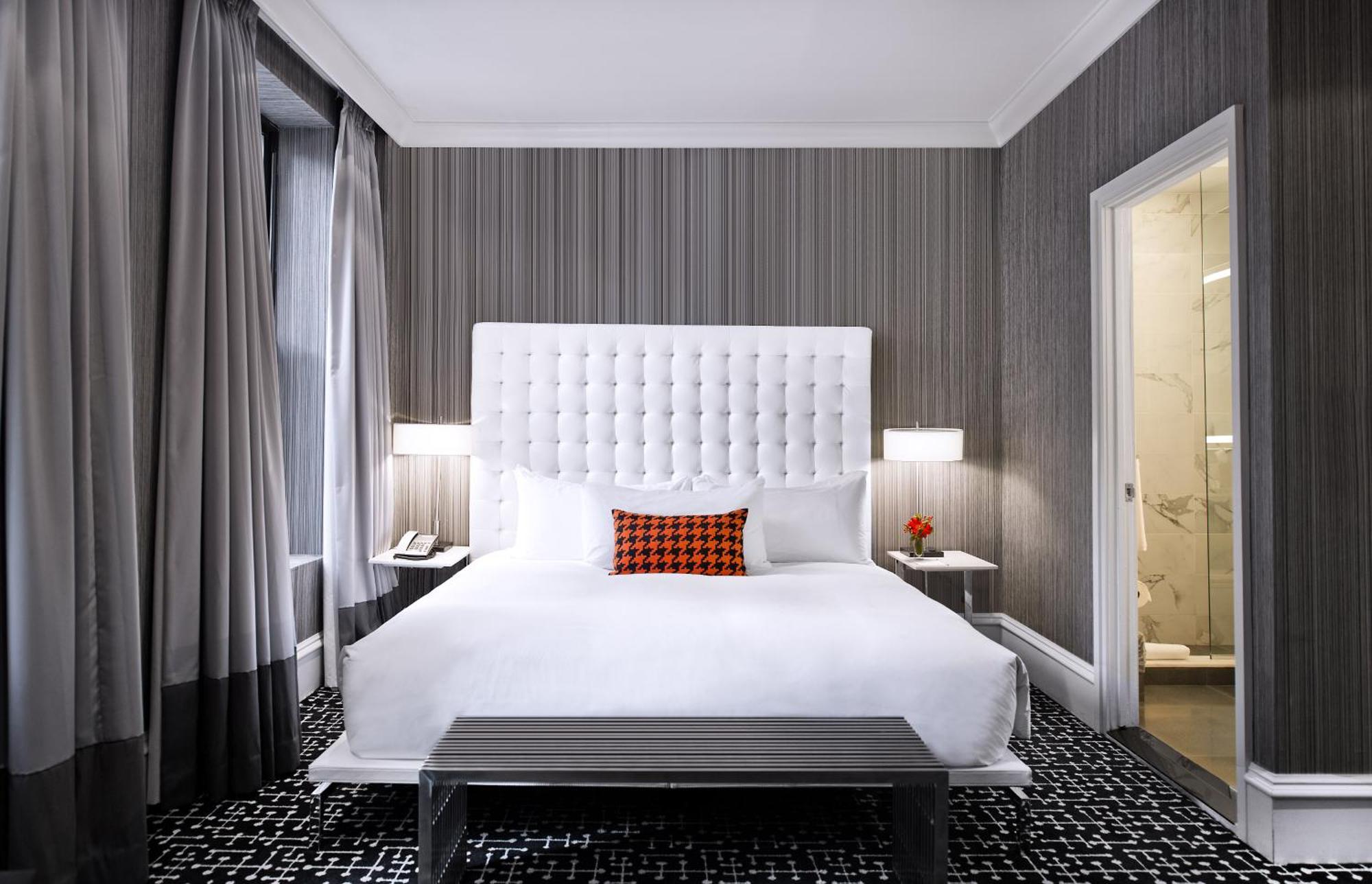 Estudio con cama extragrande y sofá cama